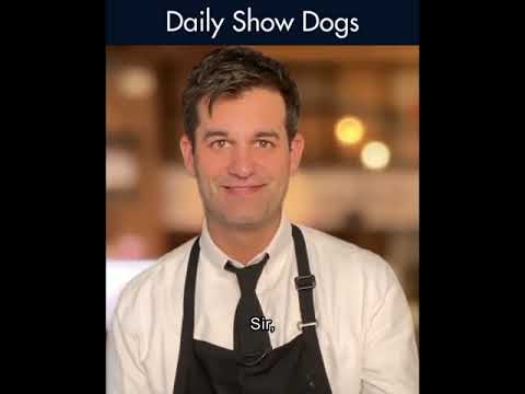 Daily Show Dogs