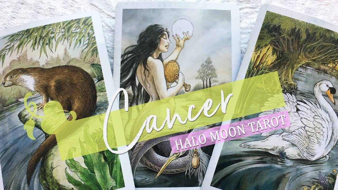 CANCER - A LONER IS WANTING TO START SOMETHING WITH YOU