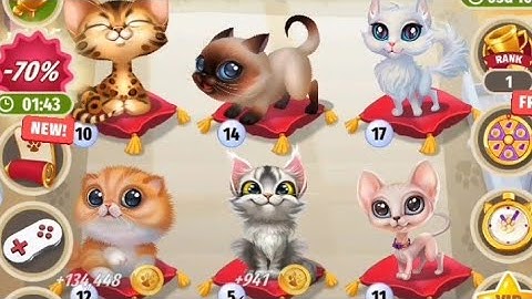 Catopedia Merge my Cat level18#mobilegameplay 