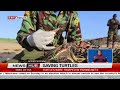 Officers from the community environment society in Kiunga area succeed in rescuing a turtle