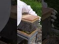 Capturing a Swarm of Japanese Honeybees #savethebees