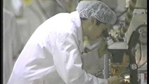 ZAP Paintballs Production & Quality Assurance