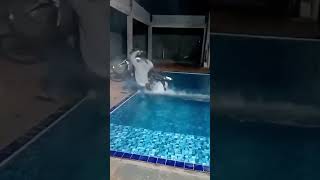 Motorbike On Pool Goes Wrong
