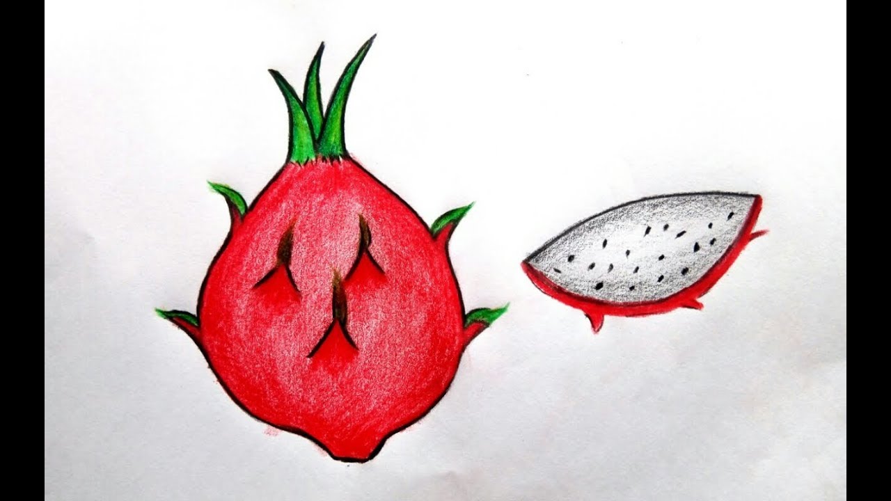Featured image of post Dragon Fruit Drawing Images Also called dragon pearl fruit cactus fruits pitahaya or pitaya dragon fruit benefits immunity skin health and the heart