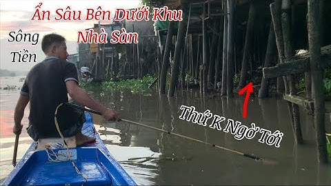 Sâu Bên Dưới "Khu Nhà Sàn" Sông Tiền Ổ Cá Khủng Khiếp K Ngờ Tới | Kích Cá Sông Tiền | Catch Fish