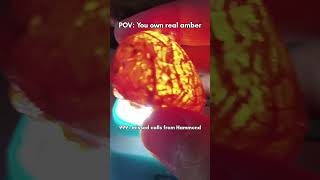 Send This To A Juric Park Fan