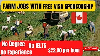 Farm Jobs in Canada with Free Visa Sponsorship | No Experience| No Education| No IELTS| Apply NOW
