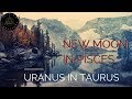 New Moon in Pisces | Uranus Ingress in Taurus | Mercury Retrograde Raising Vibrations