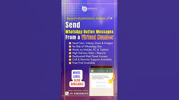Send Bulk WhatsApp Button Message with Virtual Number | WhatsApp Web Panel | WhatsApp API Tutorial