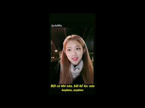 [Vietsub] Fallin' All In You (Shawn Mendes) Cover by Rosé BlackPink