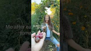 Old Tee Vs New Tee  shorts homegrown tomatoes