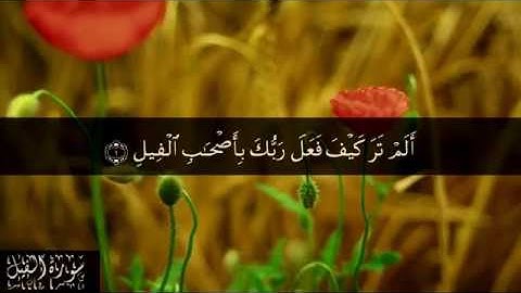 105 سورة الفيل بصوت الشيخ سعد الغامدي