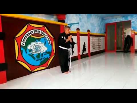 Kungfu Tradisional Awan Putih - Pat Kwa Kiu Liu di Dojo Sentul City - YouTube