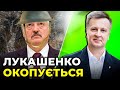 Білоруський диктатор боїться ПОМСТИ УКРАЇНИ та окопується на кордоні / Наливайченко