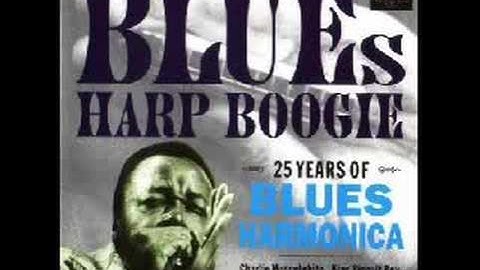 Louisiana Red - Alabama Train