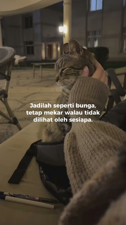 Kata kata pujangga #storykata #status #storywa #katakata #pujangga #mizquotes7 #quotes #fypyoutube