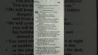 Psalm91 #psalms #91 #protector #safety #angels #lions #defend #save #acknowledge #God #rescue #honor