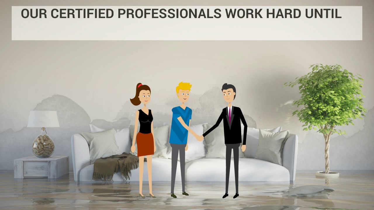 Mold Removal And Water Damage Restoration Oakland CA