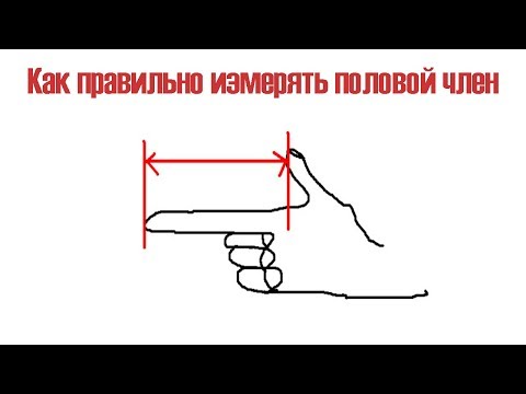 Как правильно измерить длину полового члена