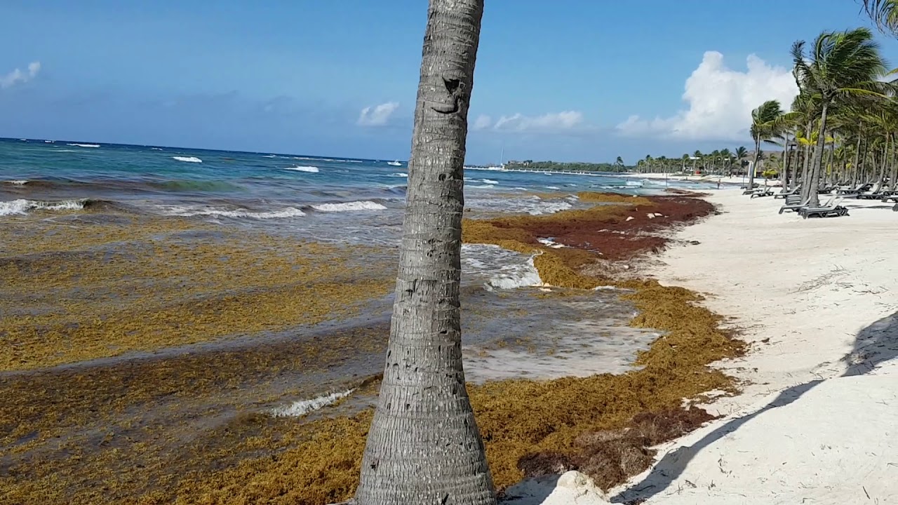 Barcelo Resort beach review from June 2019
