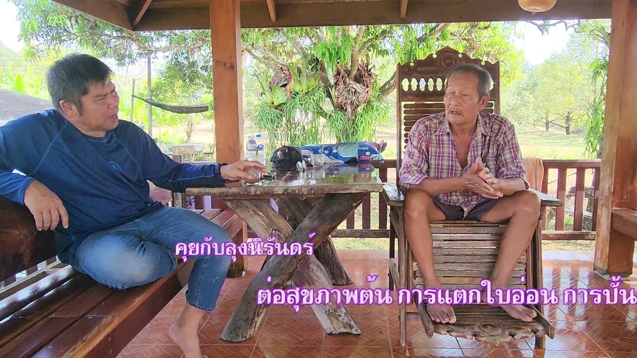 NR-EP135 ข้อสังเกตลุงนิรันดร์  ปีนี้หนาวนาน และร้อนจริง ต้นโทรมเร็ว ปั้นทรงยาก  เตรียมรับมือ?