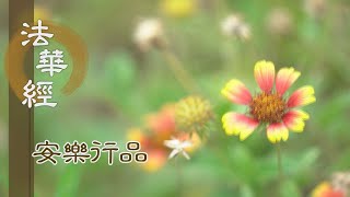 【靜思妙蓮華】法華經安樂行品 - 有為無為 實不實法 - 20230503 第1406集