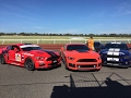 Shelby GT Racer and John Bowe At Sandown Raceway