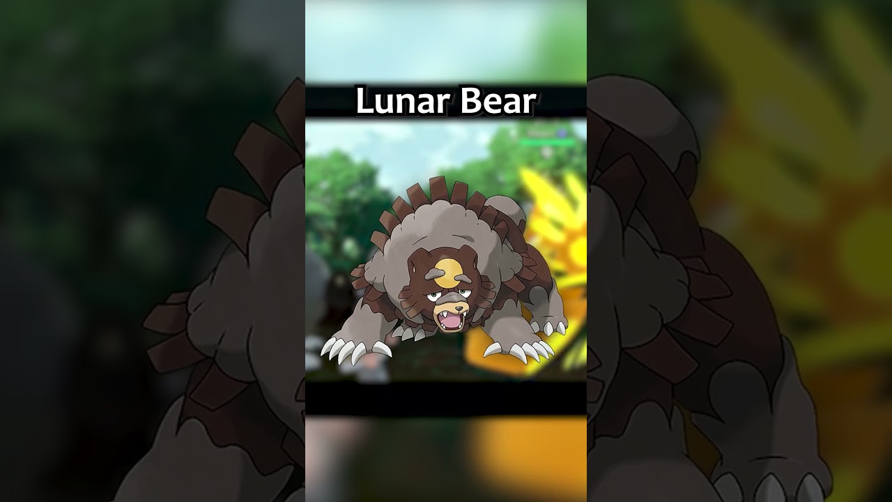 Every Bear Pokemon In 22 Seconds