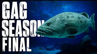 2026 Gulf Gag Grouper Season Finalized - Watch Full Breakdown