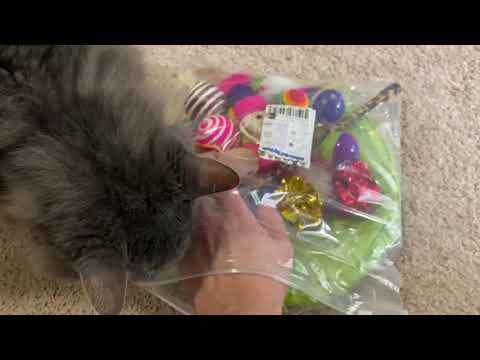 Review of the bestseller Youngever 24 Cat Toys Kitten Toys Assortments from Amazon