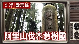 阿里山神秘傳說伐木惹樹靈日本人嚇壞？【台灣啟示錄精華】復刻 ...