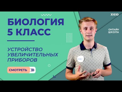 Устройство увеличительных приборов. Видеоурок 10. Биология 5 класс