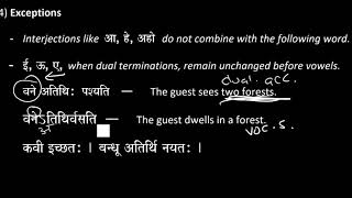 73  Vowel Sandhi Part 4 Exceptions