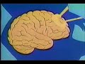 ¿Cómo el estrés enferma al cuerpo?
