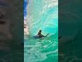 CRAZY Keiki Shorebreak Bodyboarding || #oahu #bodyboard #hawaii #surf #bodyboarding #waves #surfing