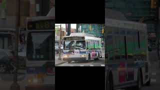 Bx8 Bus Announcements to Williamsbridge 225 Street Weekday Service