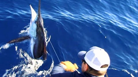 Close in Marlin Battle on an Inflatable: Santa Cruz Island