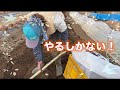 私の『苦手な作業No.1』…です【自然栽培・家庭菜園】