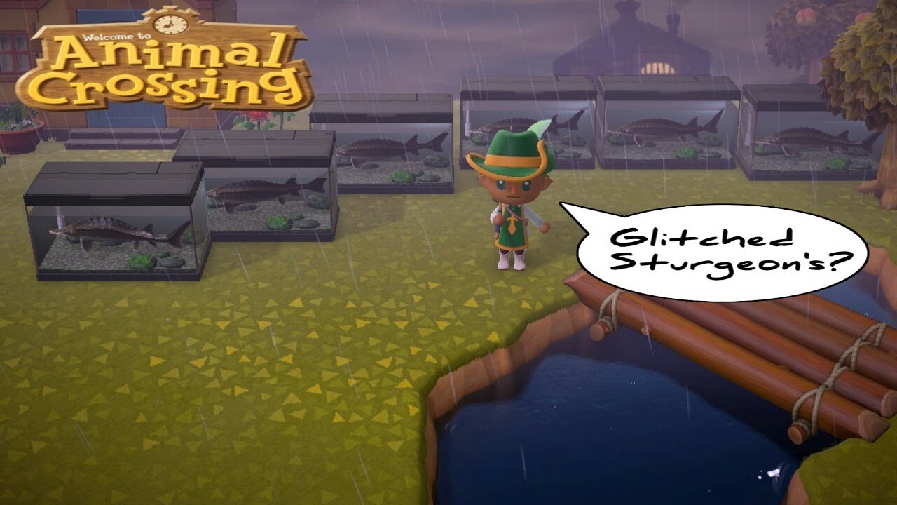 Glitched Sturgeon?! Animal Crossing Livestream YouTube