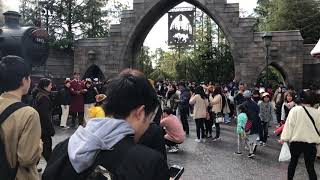 IMG 3430