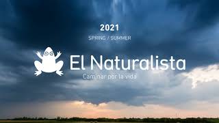 El Naturalista Ss21 - Brand Introduction