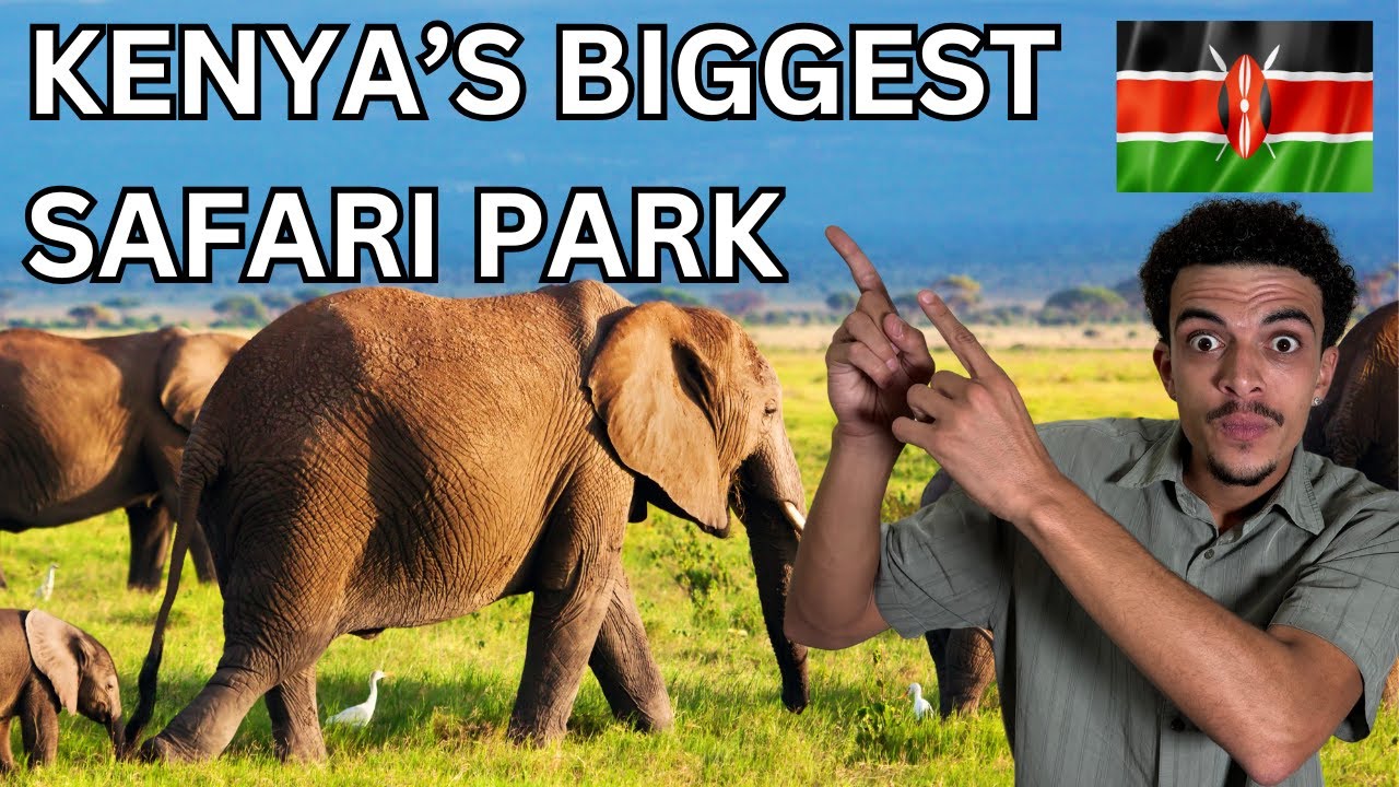 I Visited Kenya’s Largest Safari Park— Not What We Expected 🇰🇪 (Kenya Travel Vlog 6)