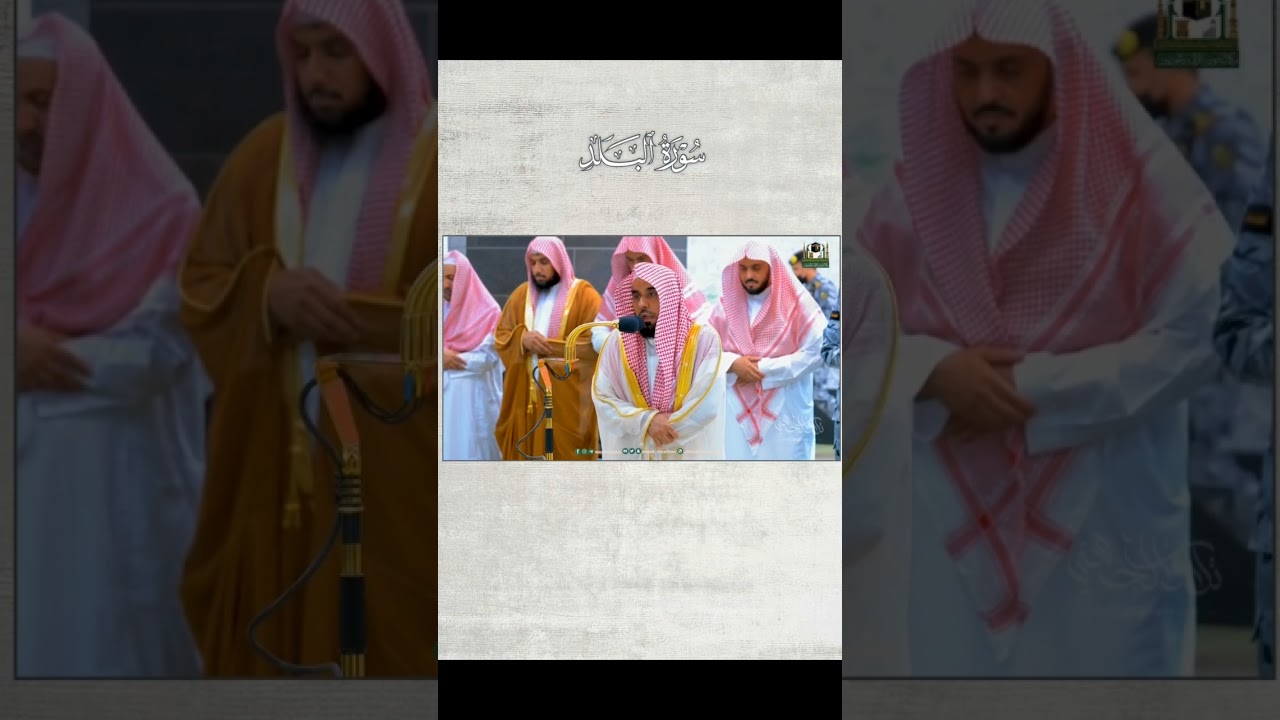 وكأنها تحلق بك في ملكوت السماء، وتبعدك عن دنس الأرض قطف من عشاء 29-11-1444هـ #عبدالله_الجهني #shorts