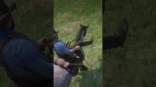 Otros 5 Detalles Alucinantes De Red Dead Redemption 2