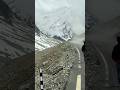 🏔️ Shinkula Top Adventure | Beyond Atal Tunnel | Himalayan Road Trip #shorts