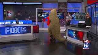 1031120 Newscast End