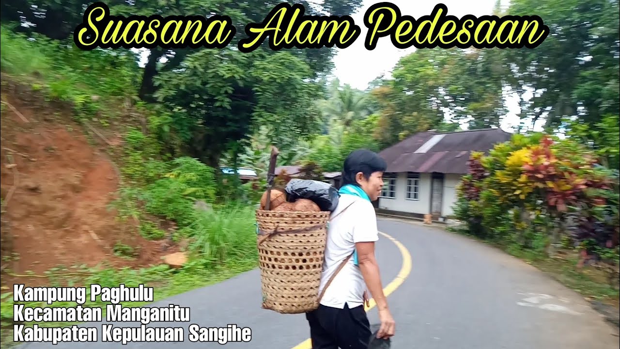 Suasana Alam Pedesaan Kampung Paghulu Part1 Kecamatan Manganitu