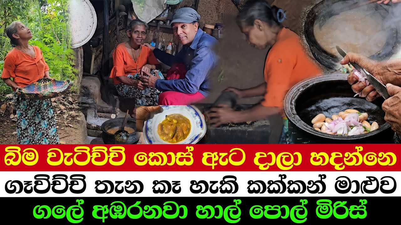 Cooking With Fallen Jackfruit Seeds | Secret Village, Secret Recipe – Kakkan Curry