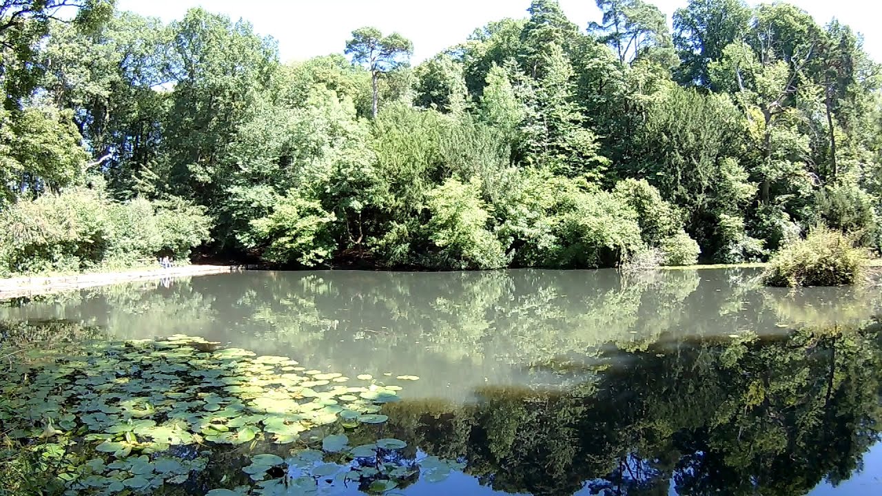Out and About at Abbots Pool 20230809 Peaceful Interlude
