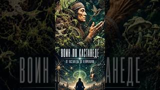 Путь воина: внутренняя дисциплина и осознанность